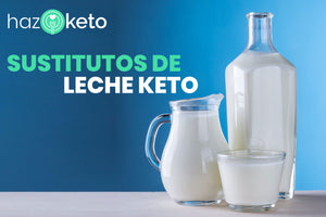 sustitutos de leche